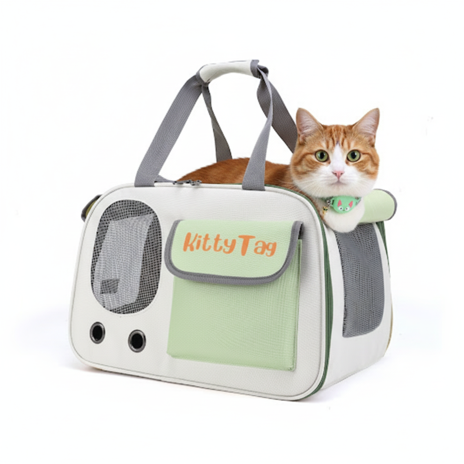 Green Foldable Pet Travel Bag