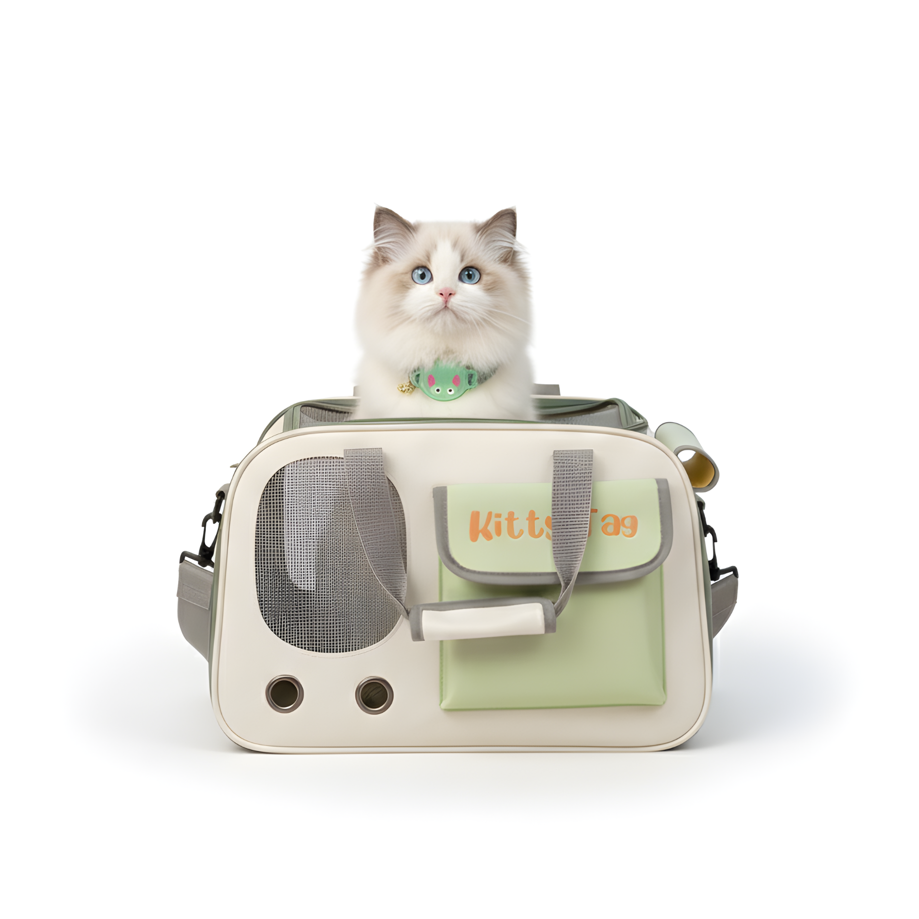 Green Foldable Pet Travel Bag
