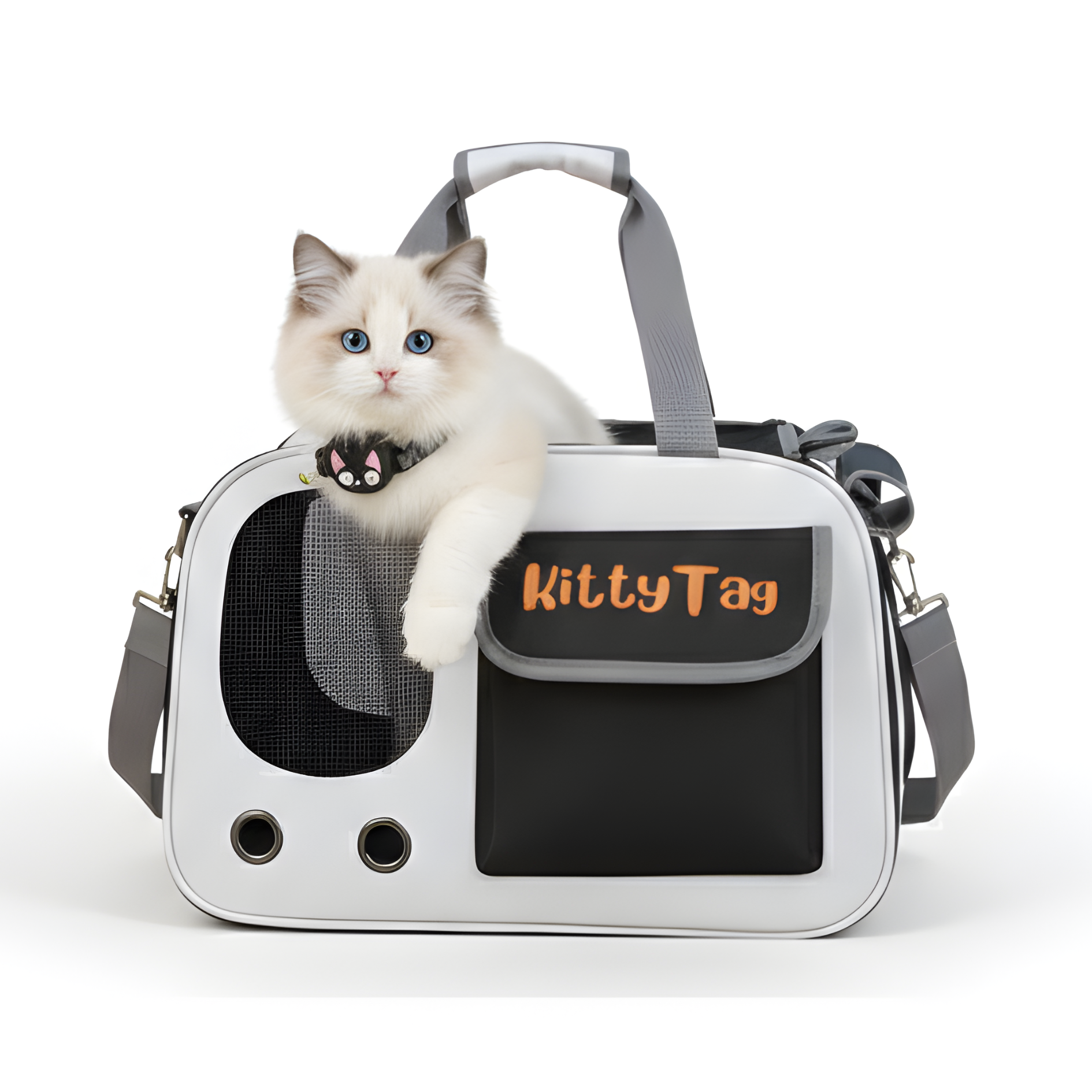 Black Foldable Pet Travel Bag