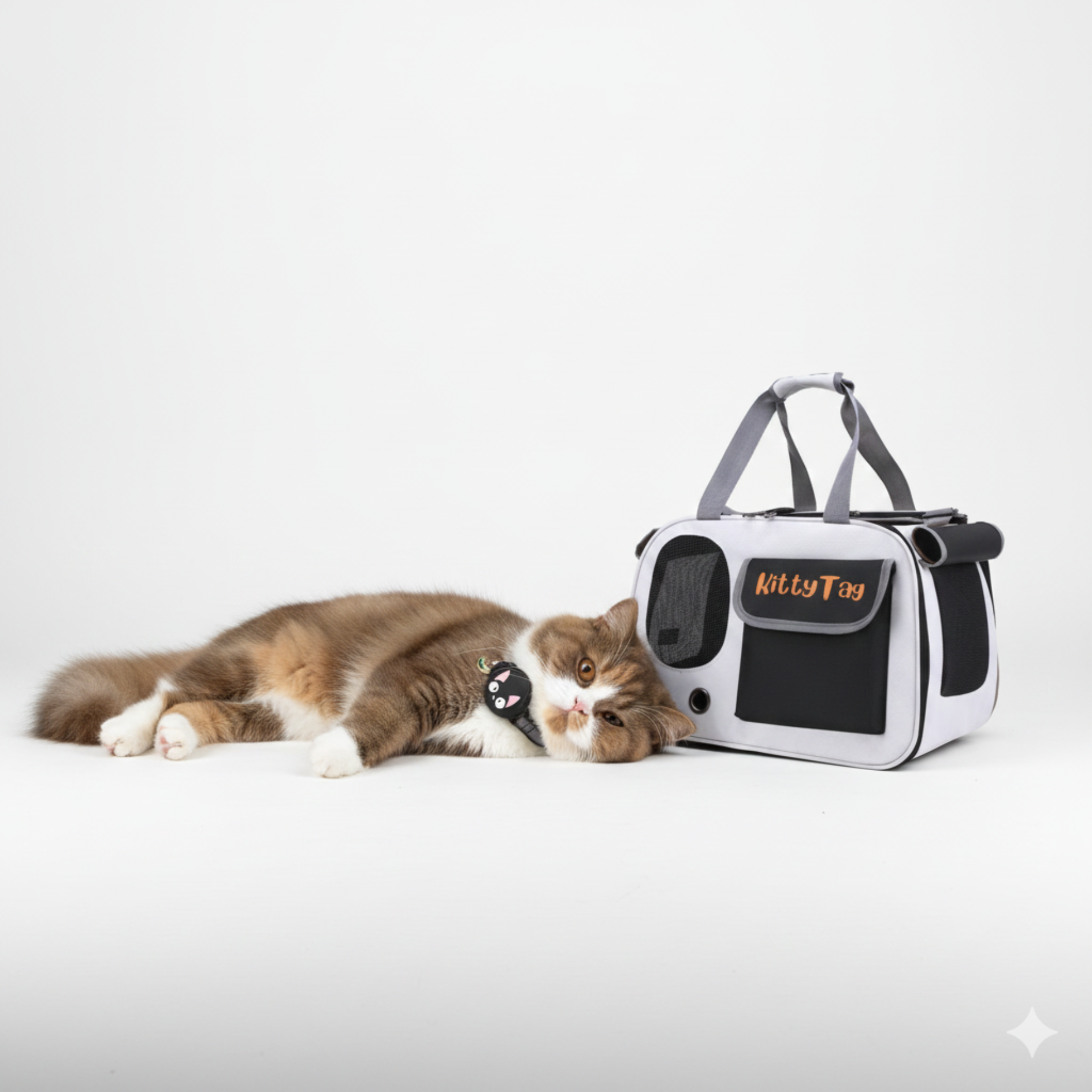 Black Foldable Pet Travel Bag