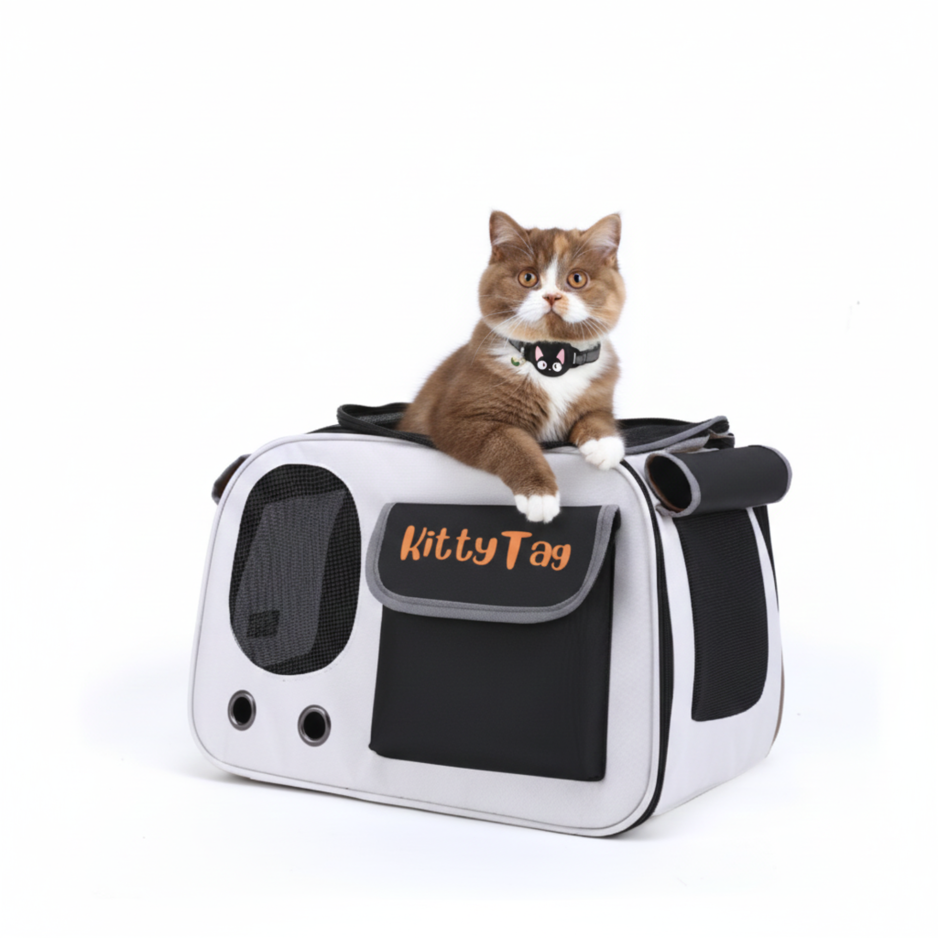 Black Foldable Pet Travel Bag