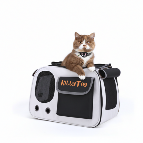 Black Foldable Pet Travel Bag