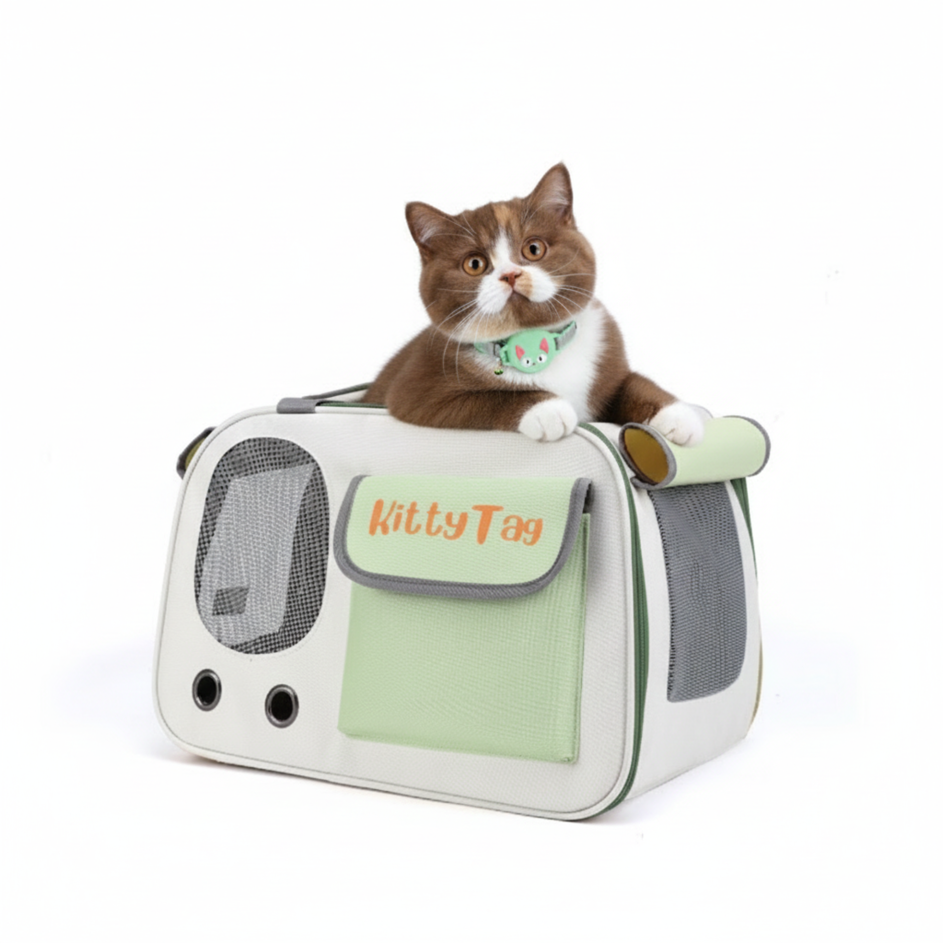 Green Foldable Pet Travel Bag