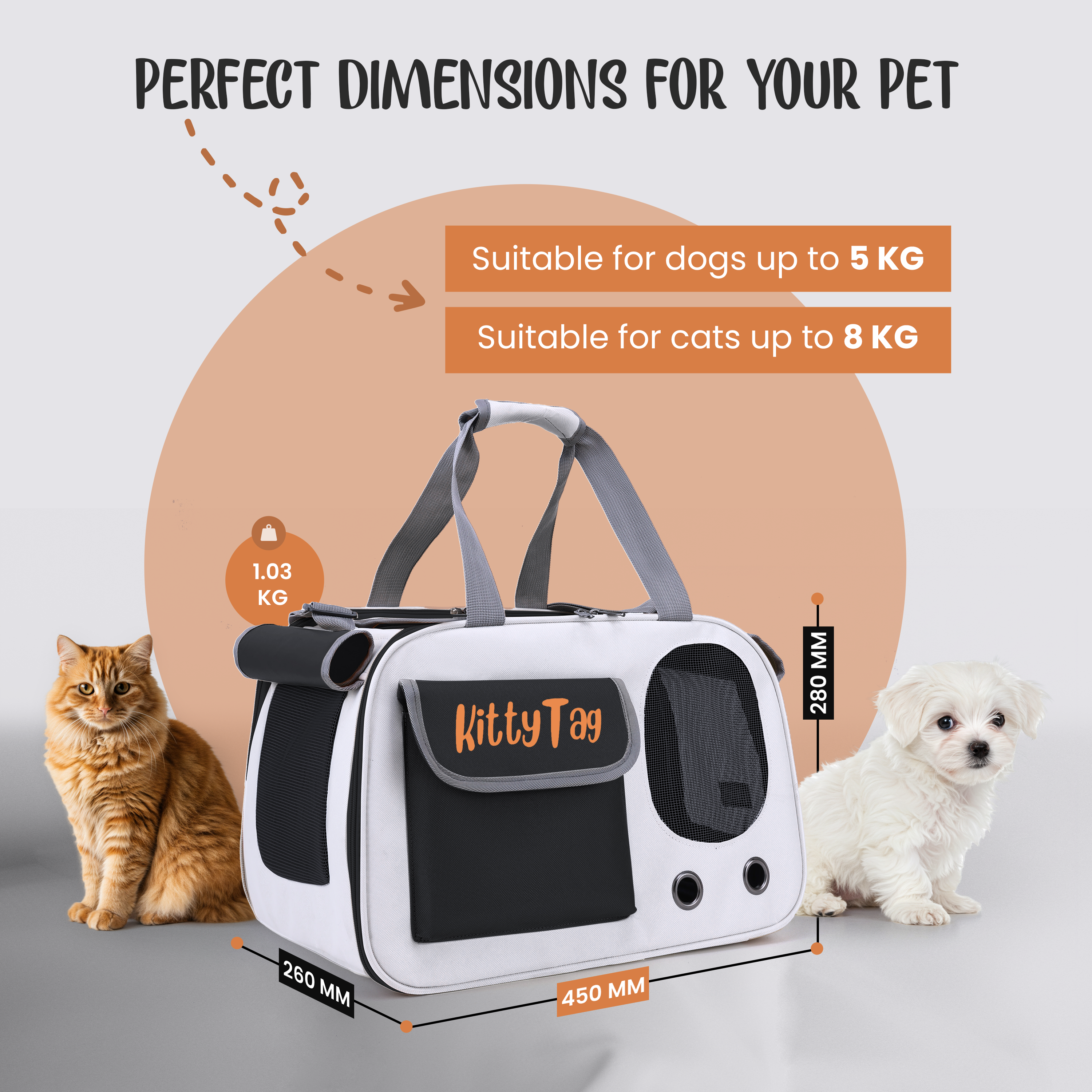 Black Foldable Pet Travel Bag