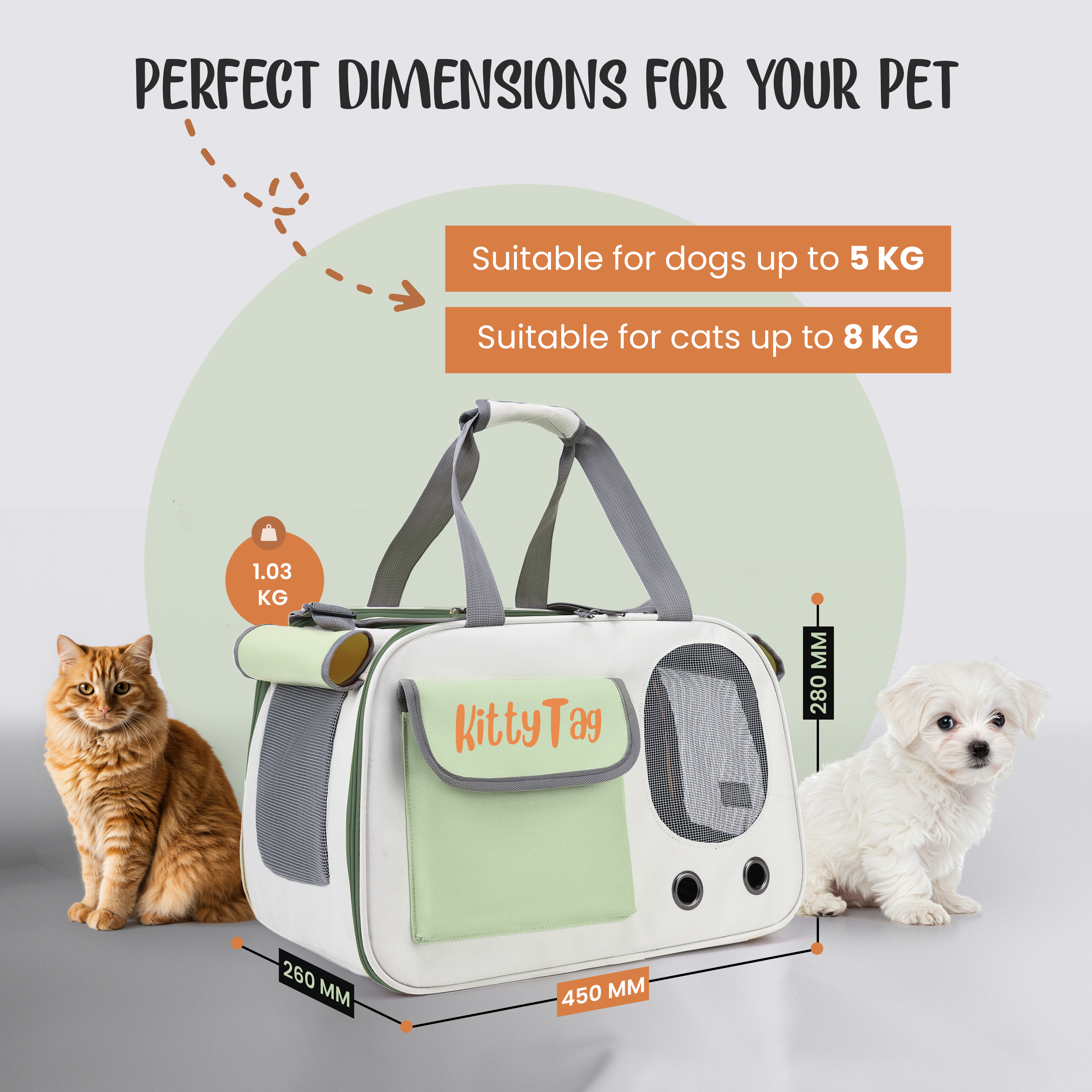 Green Foldable Pet Travel Bag
