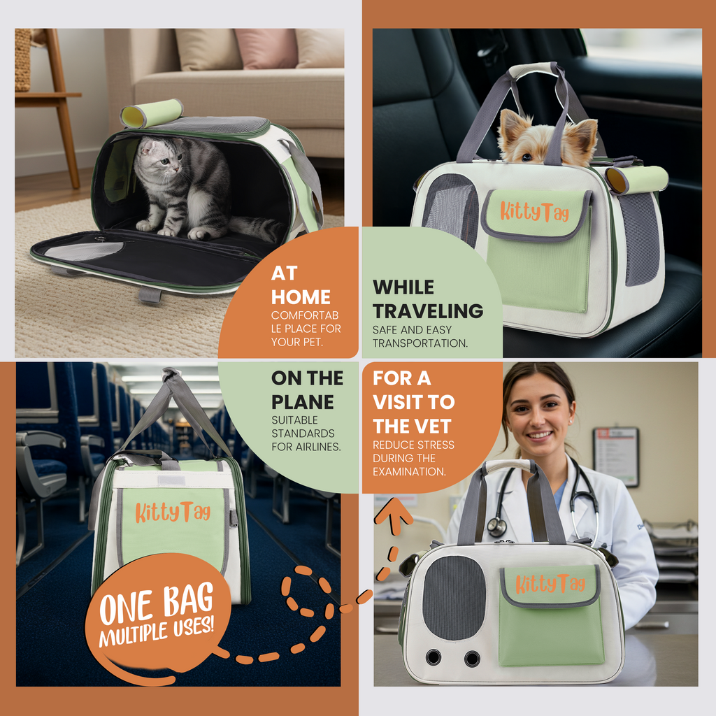 Green Foldable Pet Travel Bag