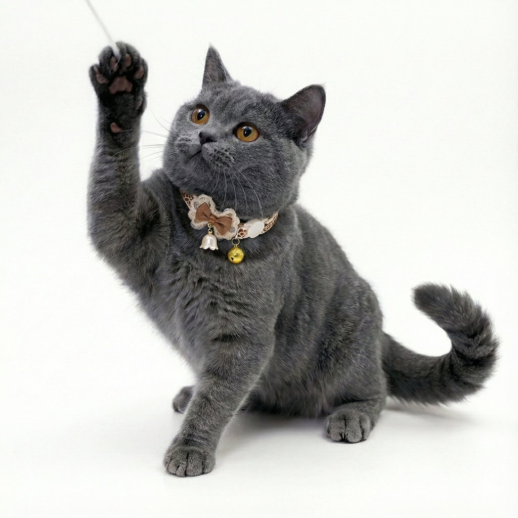 Flower Bow Breakaway Collar