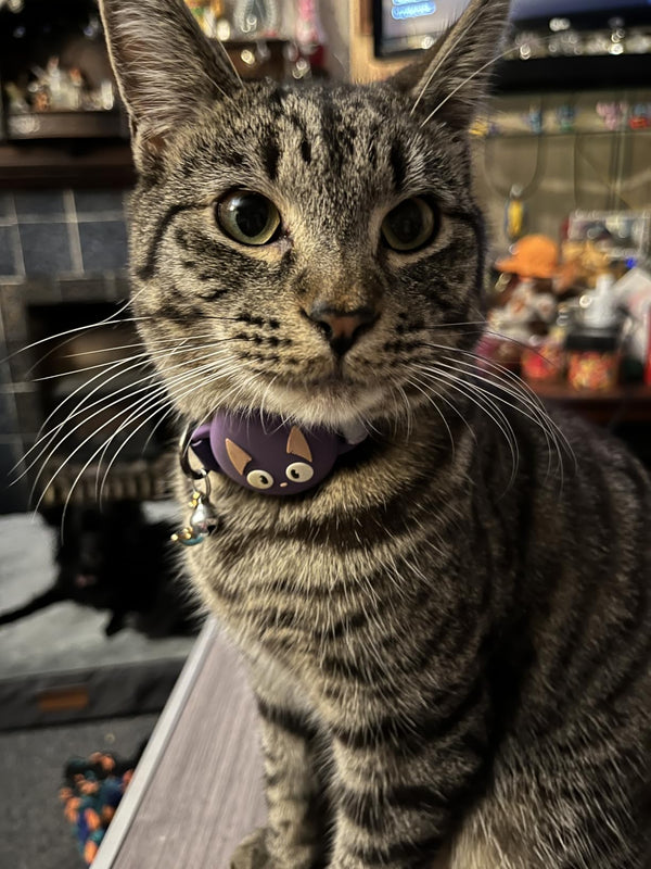 This works great with the Apple air tag. Looks great too.