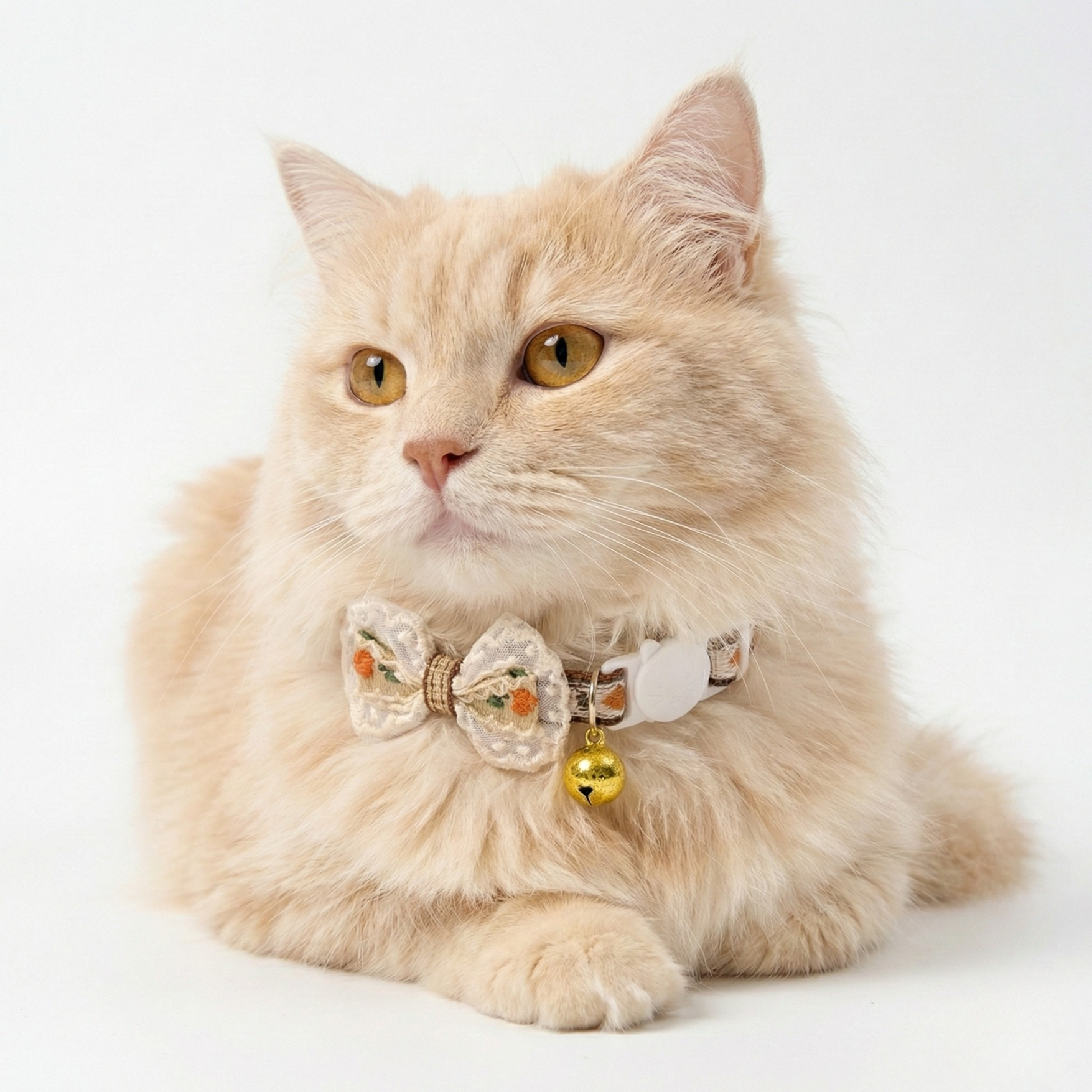 Flower Bow Breakaway Collar