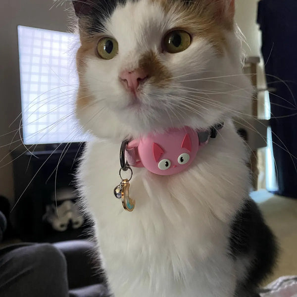 Collars are well made and look great!